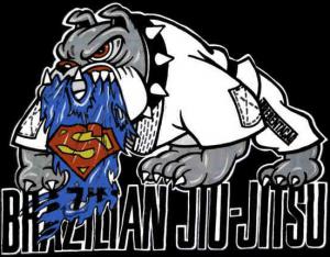    "  -"      - RUSSIA BJJ OPEN 2014   IBJJF 20.04.2014