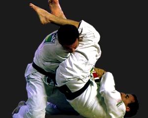    Ju-Jutsu 3.04.2011