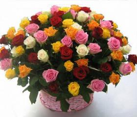  ,  ,    !!! 18  2012  ()!!!